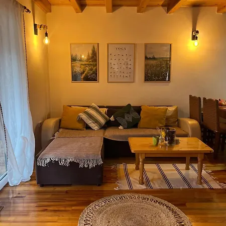 Adamov Lejlighed Lazici